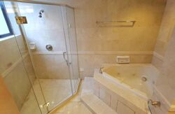 Grange 70 (D10), Apartment #498650551